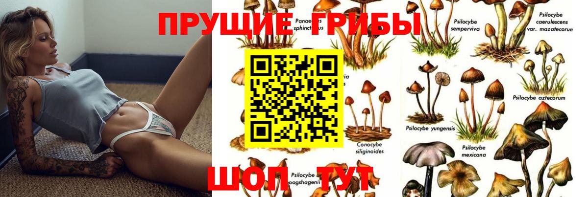 Псилоцибиновые грибы Psilocybine cubensis  даркнет сайт  Кызыл  Вход с VPN 